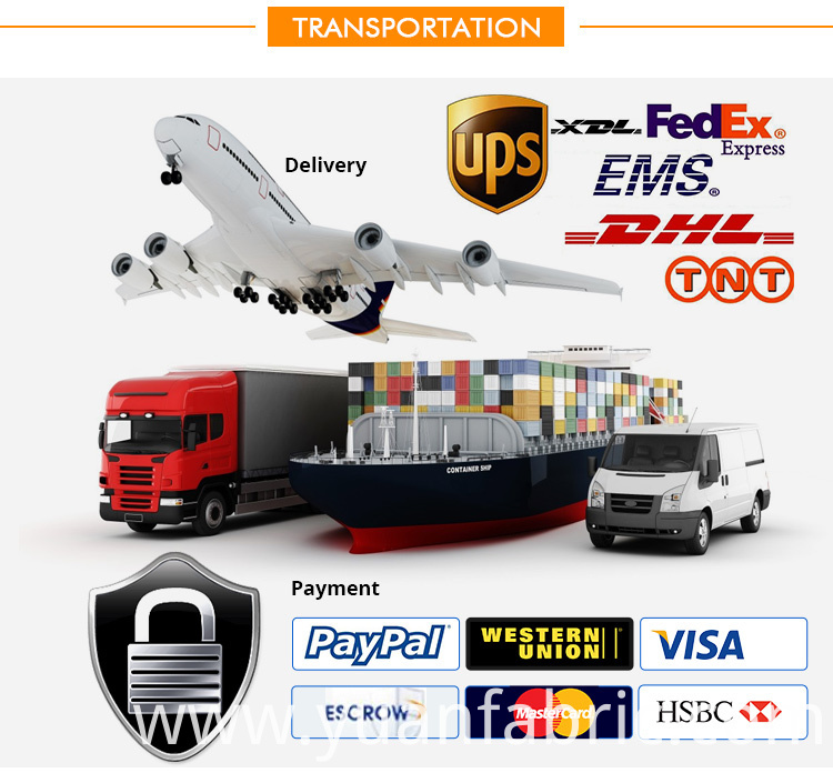 Transportation Transportation